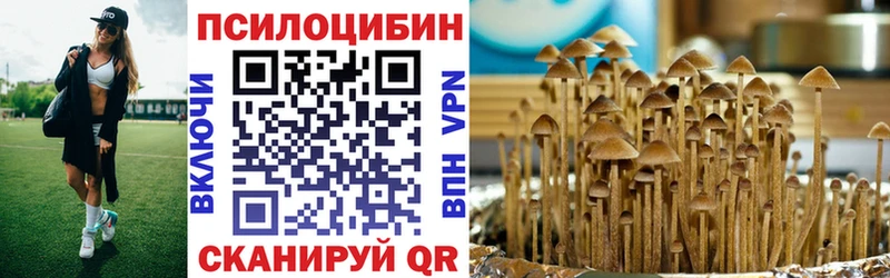где можно купить   Закаменск  Псилоцибиновые грибы мухоморы 